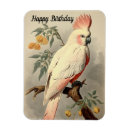 Recherche de tropical anniversaire magnets Coloré