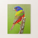 Recherche de mâle puzzles Bleu