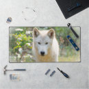 Recherche de feuille vert tapis souris Photographie de la nature