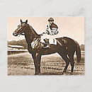 Recherche de races de cheval cartes postales Derby