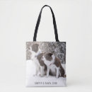 Recherche de photos des chats sacs Animaux domestiques