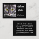Recherche de chat standard cartes visite Animal
