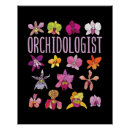 Recherche de orchidee posters Orchidée