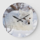 Recherche de renard arctique horloges Animal