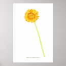 Recherche de daisy posters Floral