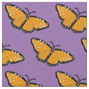 Recherche de papillon orange Insectes
