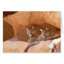 Recherche de puma vœux cartes Faune