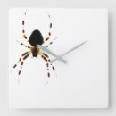 Recherche de orb posters Arachnid