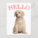 Recherche de labrador retriever cartes postales Penser à vous