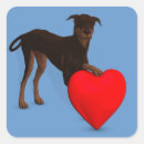 Recherche de mini pinscher autocollants Amour