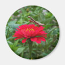 Recherche de mante Fleur