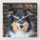 Recherche de tricolore horloges Étagère