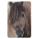 Recherche de peinture de cheval magnets Nature