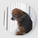 Recherche de beagle art Hound