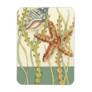 Recherche de coquillage magnets Charklia zarris