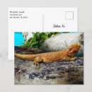 Recherche de tête de dragon cartes postales Reptile