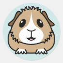 Recherche de cobayes autocollants Pour tous