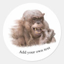 Recherche de primate autocollants Ape
