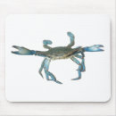 Recherche de fruits mer électronique Crabe