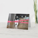 Recherche de blog vœux cartes Drôle