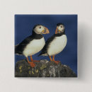 Recherche de oiseau sauvage badges Faune