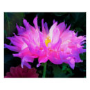 Recherche de cactus rose posters Floral