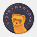 Recherche de furet magnets Belette