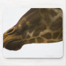 Recherche de tête girafe tapis souris Nature