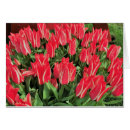 Recherche de pinocchio cartes postales Blanc