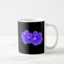 Recherche de gloire de matin pourpre Fleurs