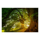 Recherche de rayonnement posters Paysage