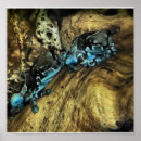 Recherche de peinture de grenouille posters Animal