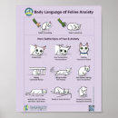 Recherche de vétérinaire posters Éducation