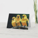 Recherche de conures vœux cartes Consin