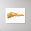 Recherche de objet simple art Illustrations biomédicales