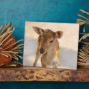 Recherche de renne plaques Faune