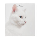 Recherche de boule blocsnotes Blanc