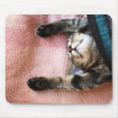 Recherche de chaton tapis souris Sommeil