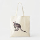 Recherche de wallaby Kangourou
