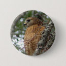 Recherche de faucon badges Oiseaux