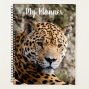 Recherche de jaguar bureau fournitures Animaux