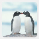 Recherche de bec autocollants Pingouin