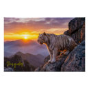 Recherche de tigres blancs posters Pour tous