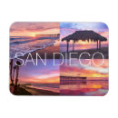 Recherche de palmier magnets San diego