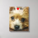 Recherche de races impressions sur toile Canin