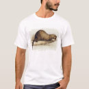 Recherche de belettes tshirts Animaux