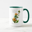 Recherche de safran tasses Orange