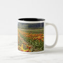 Recherche de la colombe tasses Orange