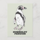 Recherche de penguin cartes postales Oiseau