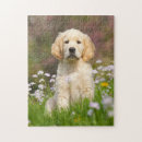 Recherche de chien de jouet puzzles Pour enfants